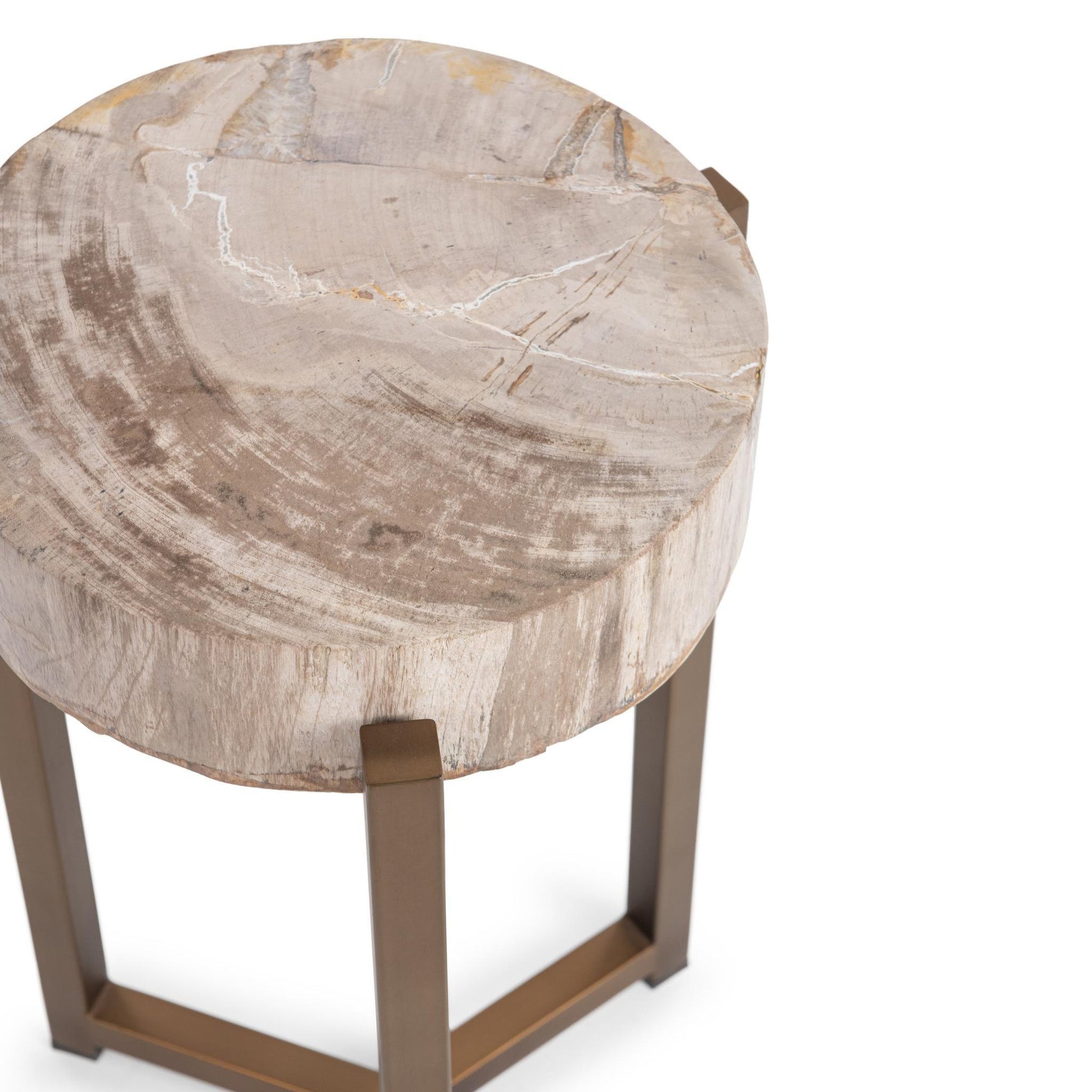 Natural Petrified Wood Accent & End Table Alliza Accent Table Collection