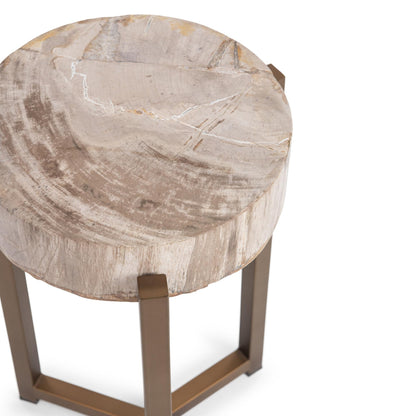 Natural Petrified Wood Accent & End Table Alliza Accent Table Collection