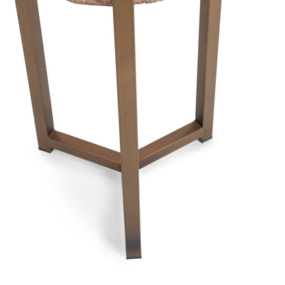 Natural Petrified Wood Accent & End Table Alliza Accent Table Collection