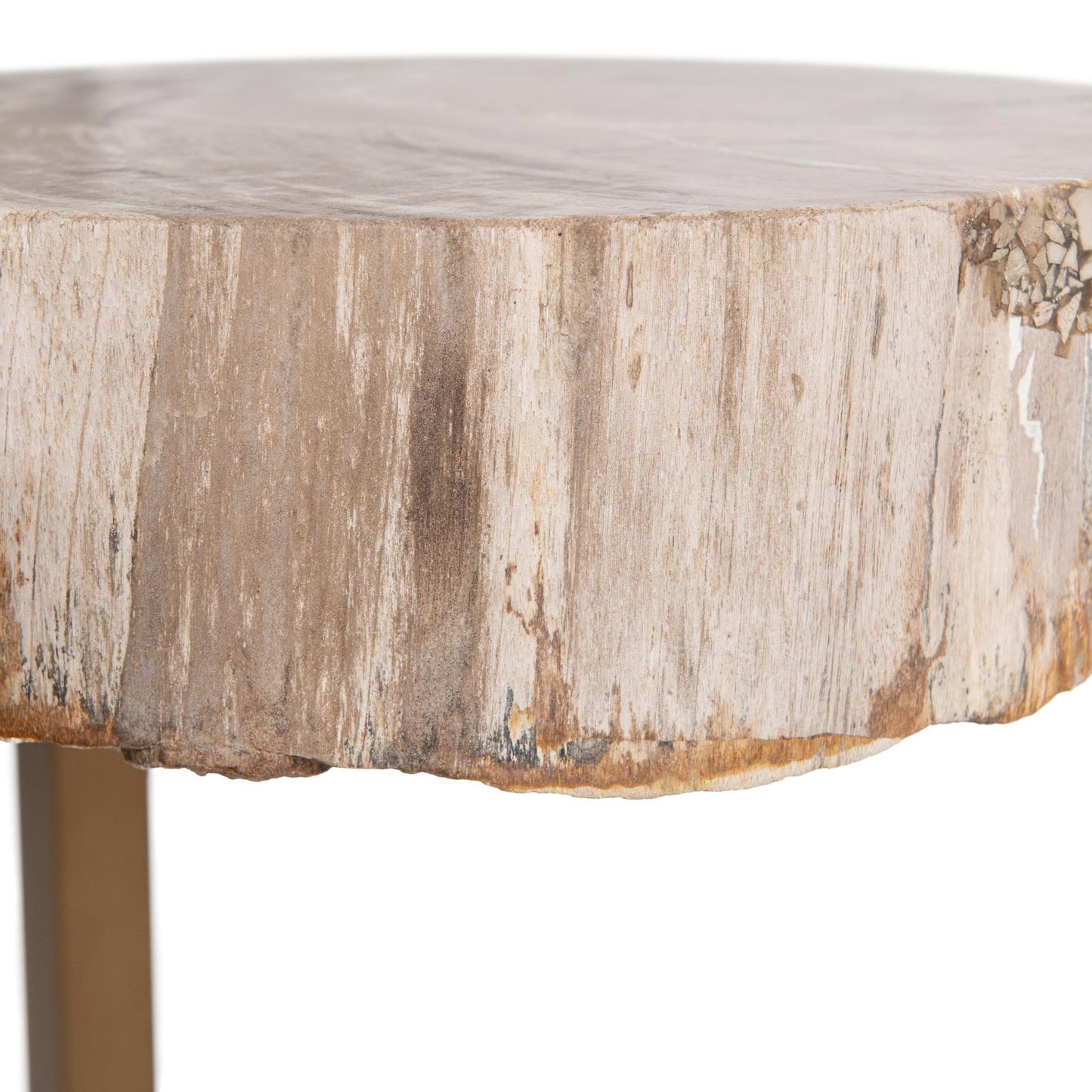Natural Petrified Wood Accent & End Table Alliza Accent Table Collection