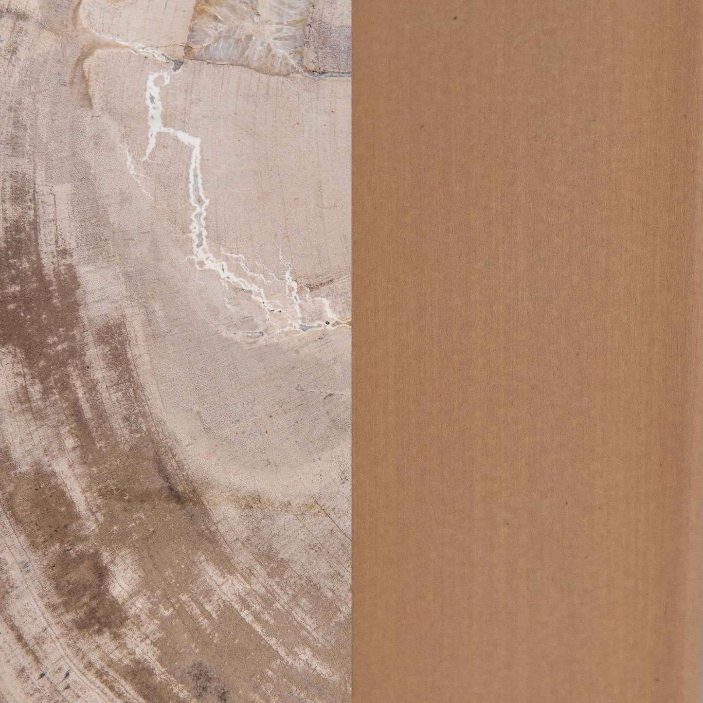 Natural Petrified Wood Accent & End Table Alliza Accent Table Collection