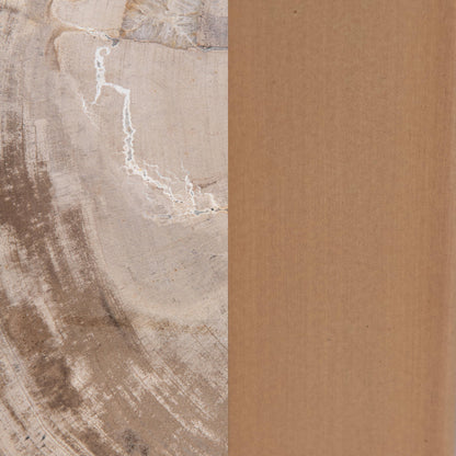 Natural Petrified Wood Accent & End Table Alliza Accent Table Collection