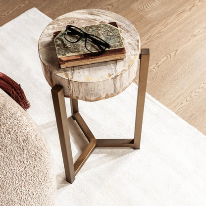 Natural Petrified Wood Accent & End Table Alliza Accent Table Collection