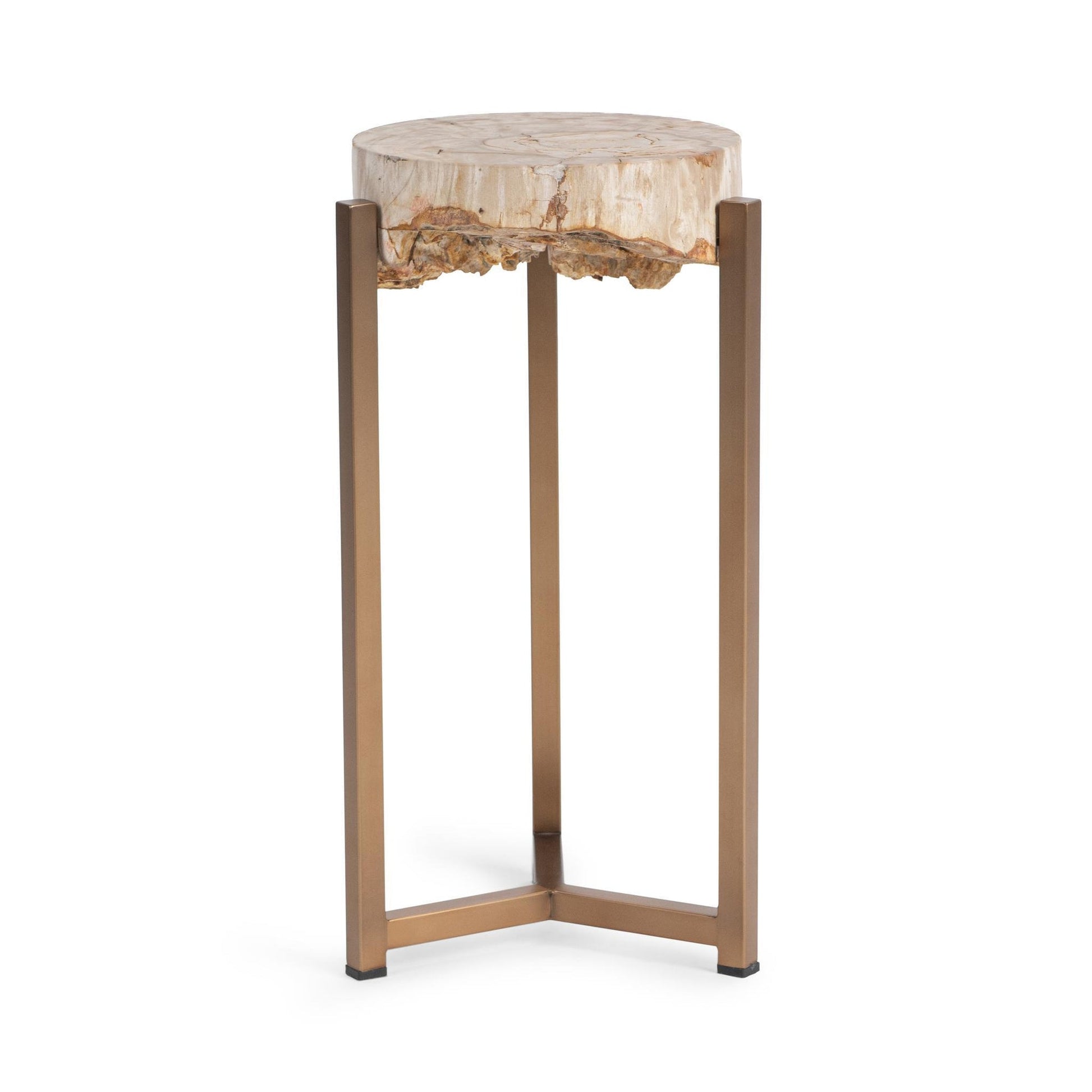Natural Petrified Wood Accent & End Table Alliza Accent Table Collection