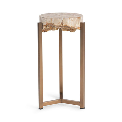 Natural Petrified Wood Accent & End Table Alliza Accent Table Collection