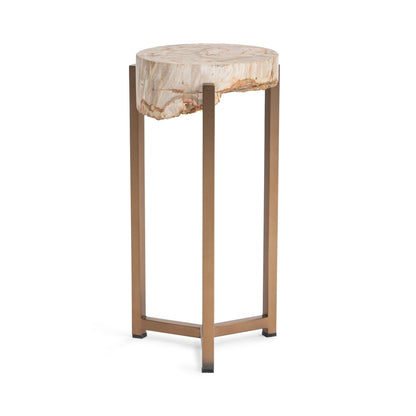 Natural Petrified Wood Accent & End Table Alliza Accent Table Collection