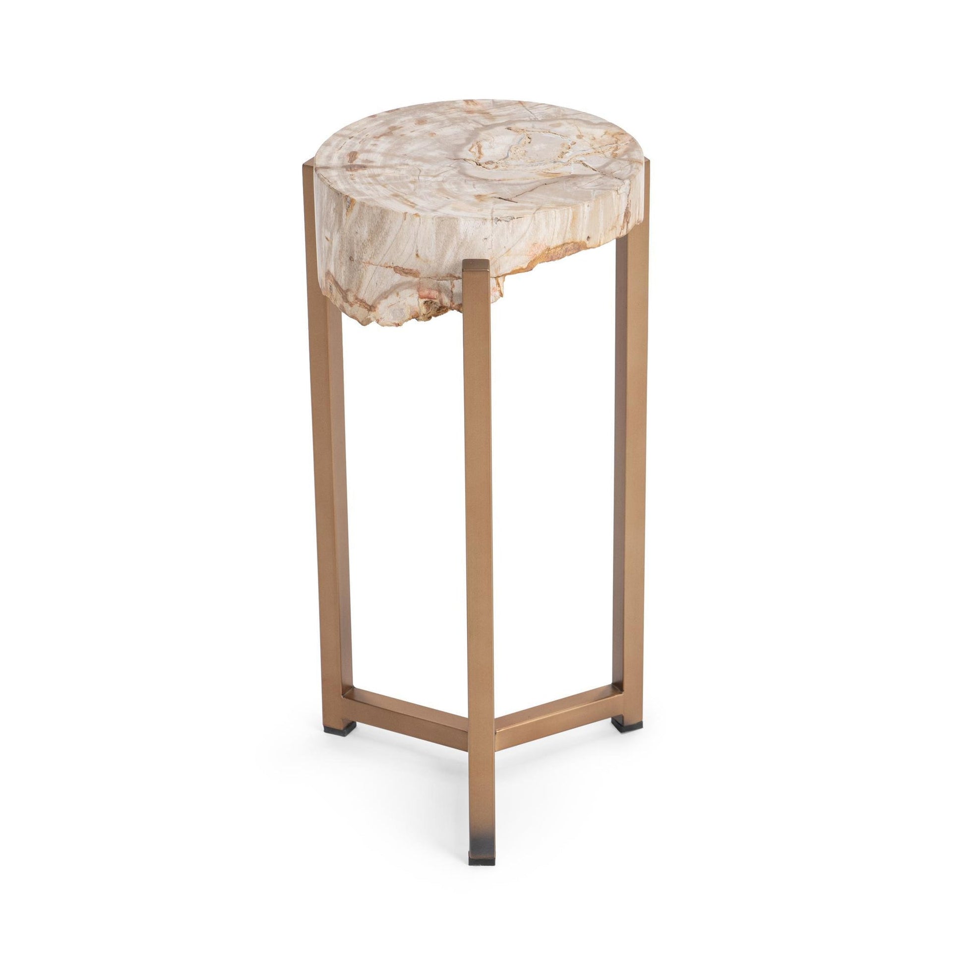 Natural Petrified Wood Accent & End Table Alliza Accent Table Collection