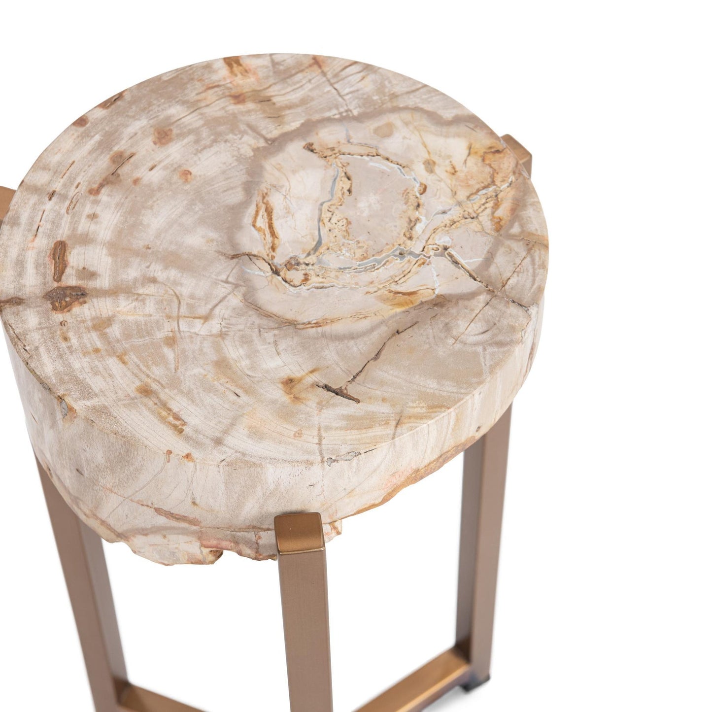 Natural Petrified Wood Accent & End Table Alliza Accent Table Collection