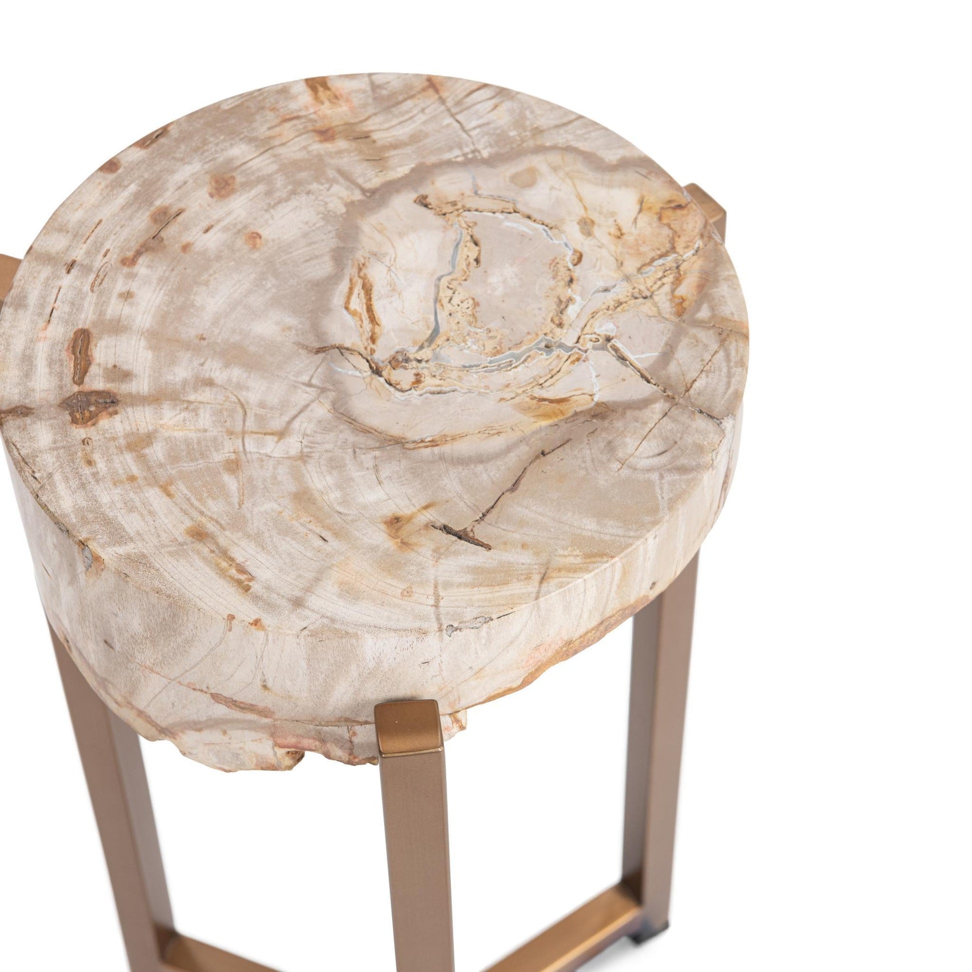 Natural Petrified Wood Accent & End Table Alliza Accent Table Collection