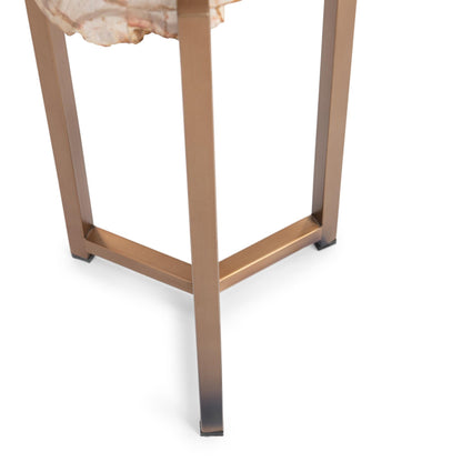 Natural Petrified Wood Accent & End Table Alliza Accent Table Collection