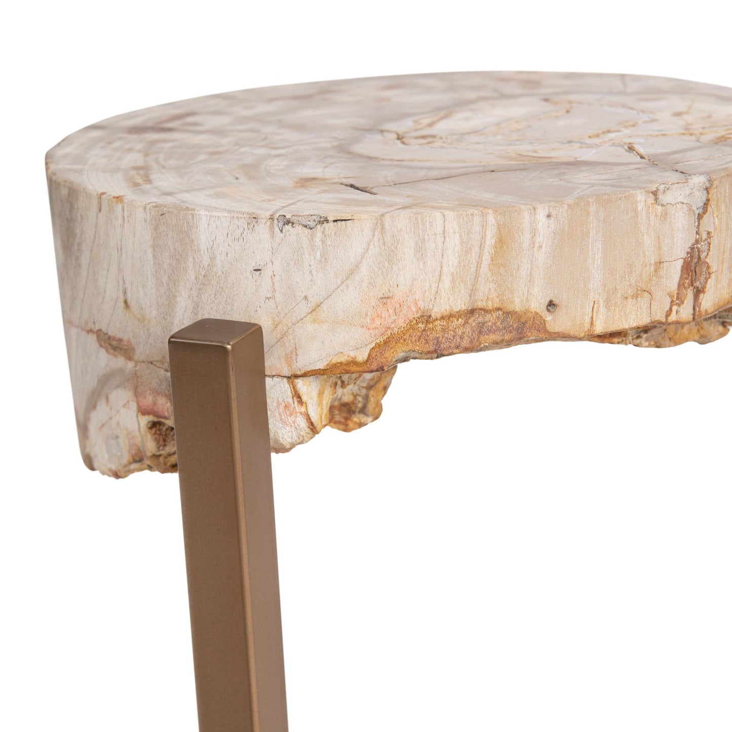 Natural Petrified Wood Accent & End Table Alliza Accent Table Collection