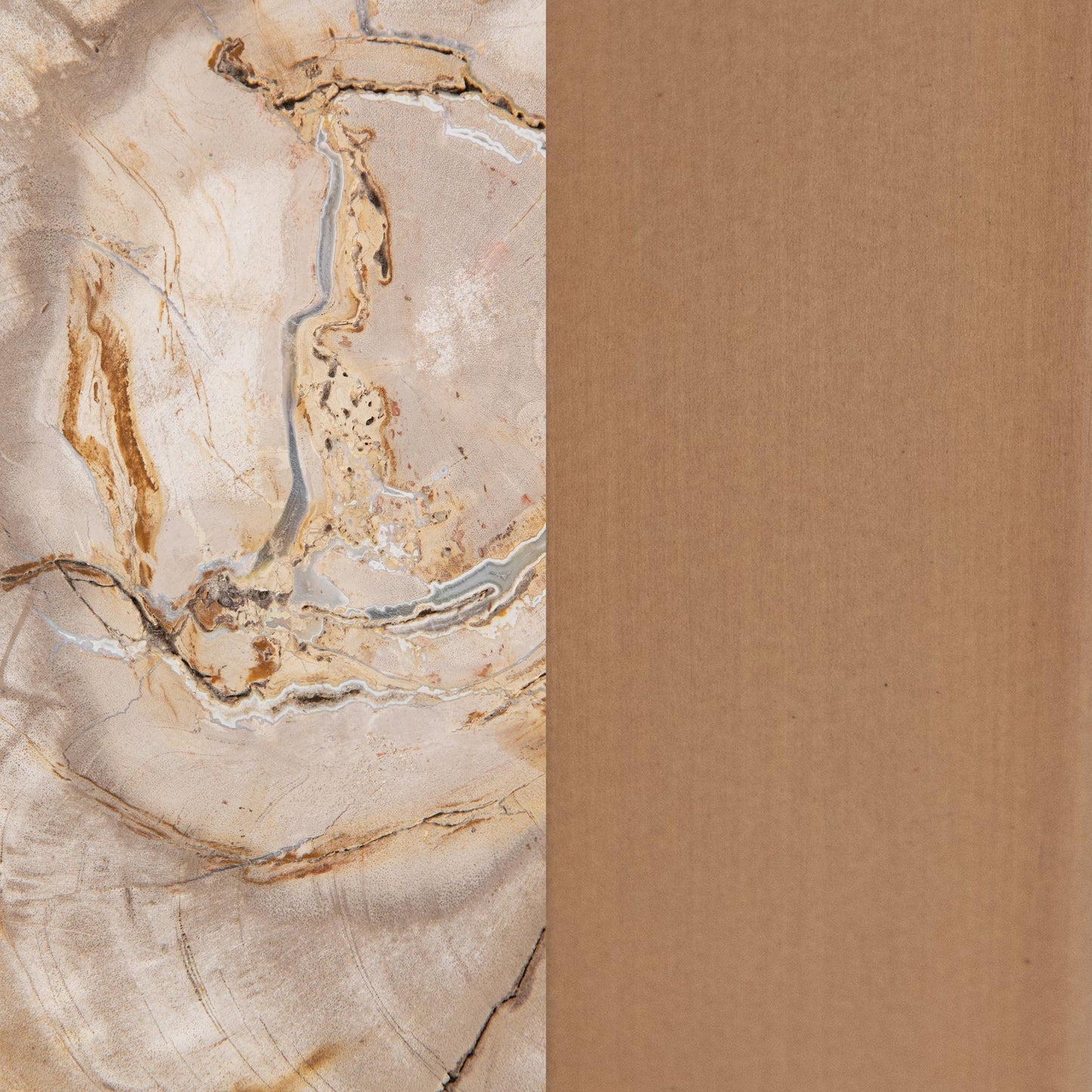Natural Petrified Wood Accent & End Table Alliza Accent Table Collection