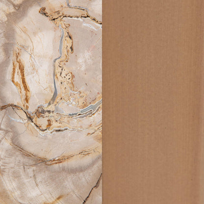 Natural Petrified Wood Accent & End Table Alliza Accent Table Collection