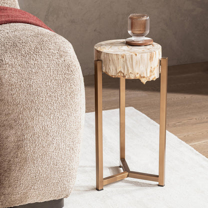 Natural Petrified Wood Accent & End Table Alliza Accent Table Collection