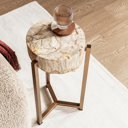 Natural Petrified Wood Accent & End Table Alliza Accent Table Collection