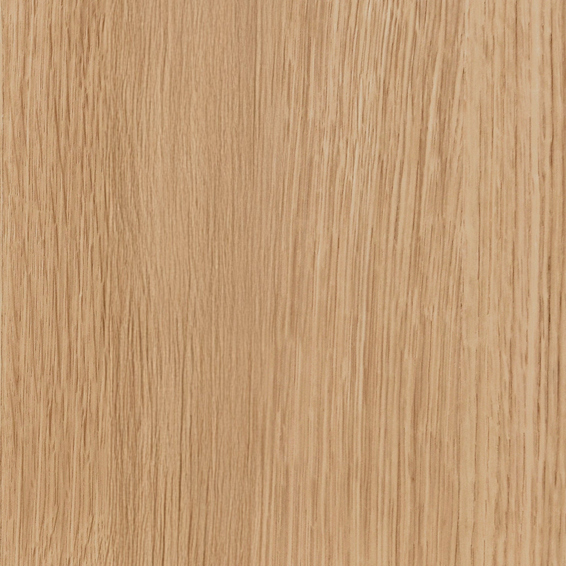 True Natural Oak Veneer Coffee Table Layne Coffee Table with Casters Collection