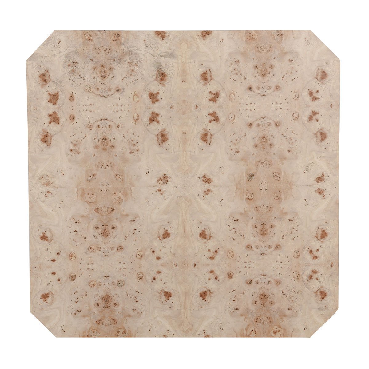 Natural Burl Veneer Coffee Table Avena Coffee Table Collection
