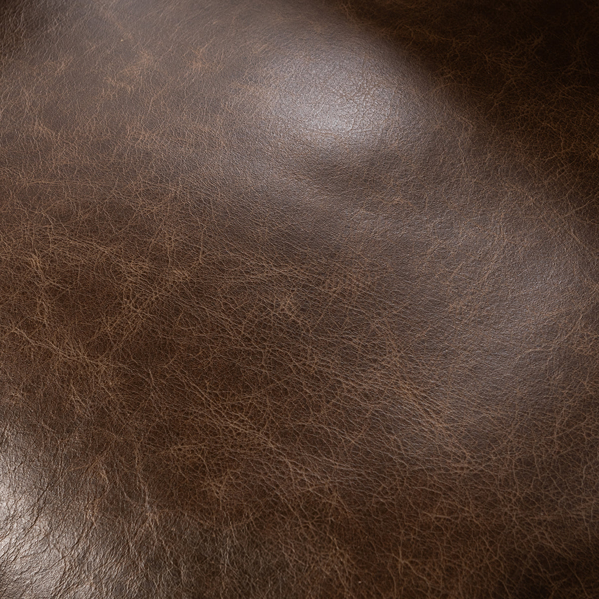 Cocoa Brown Top Grain Leather Dining Chair Strapling Dining Chair Collection