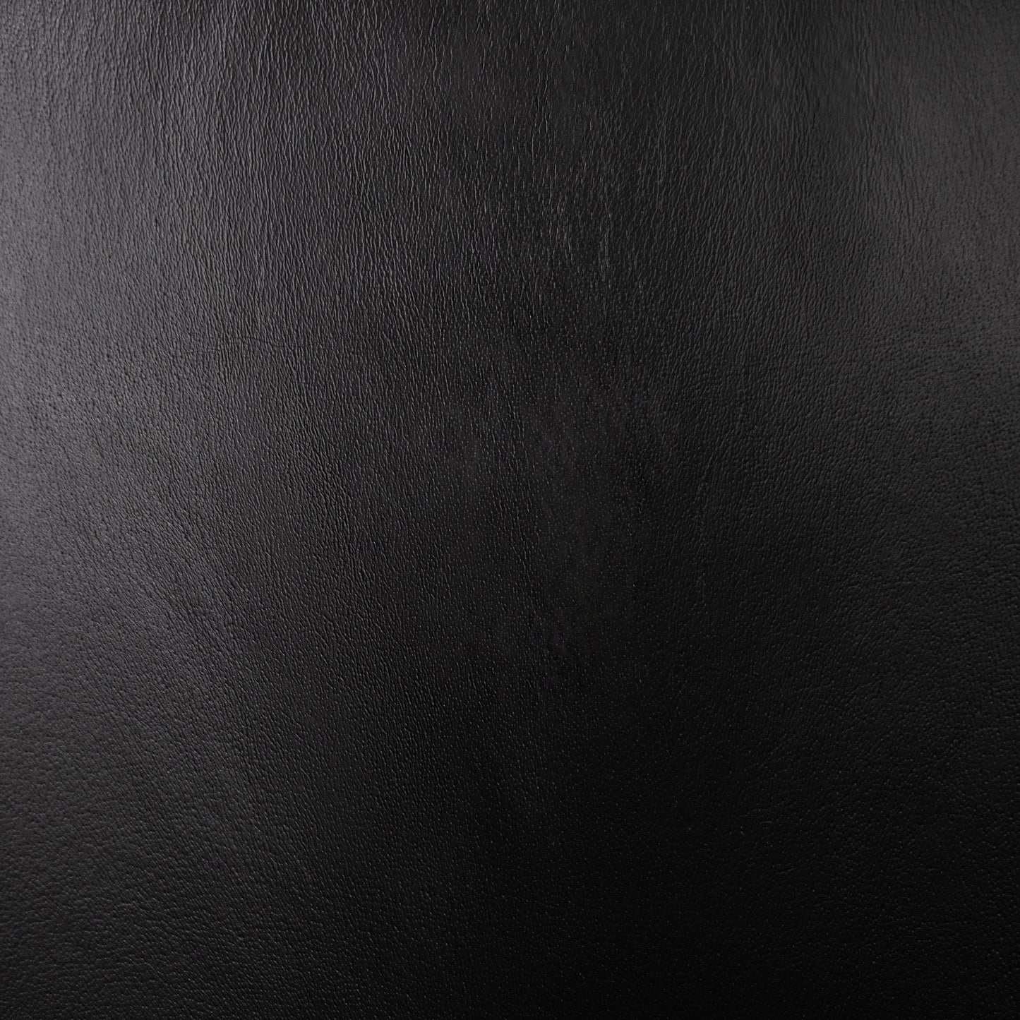 Hester Dining Chair Midnight Raven