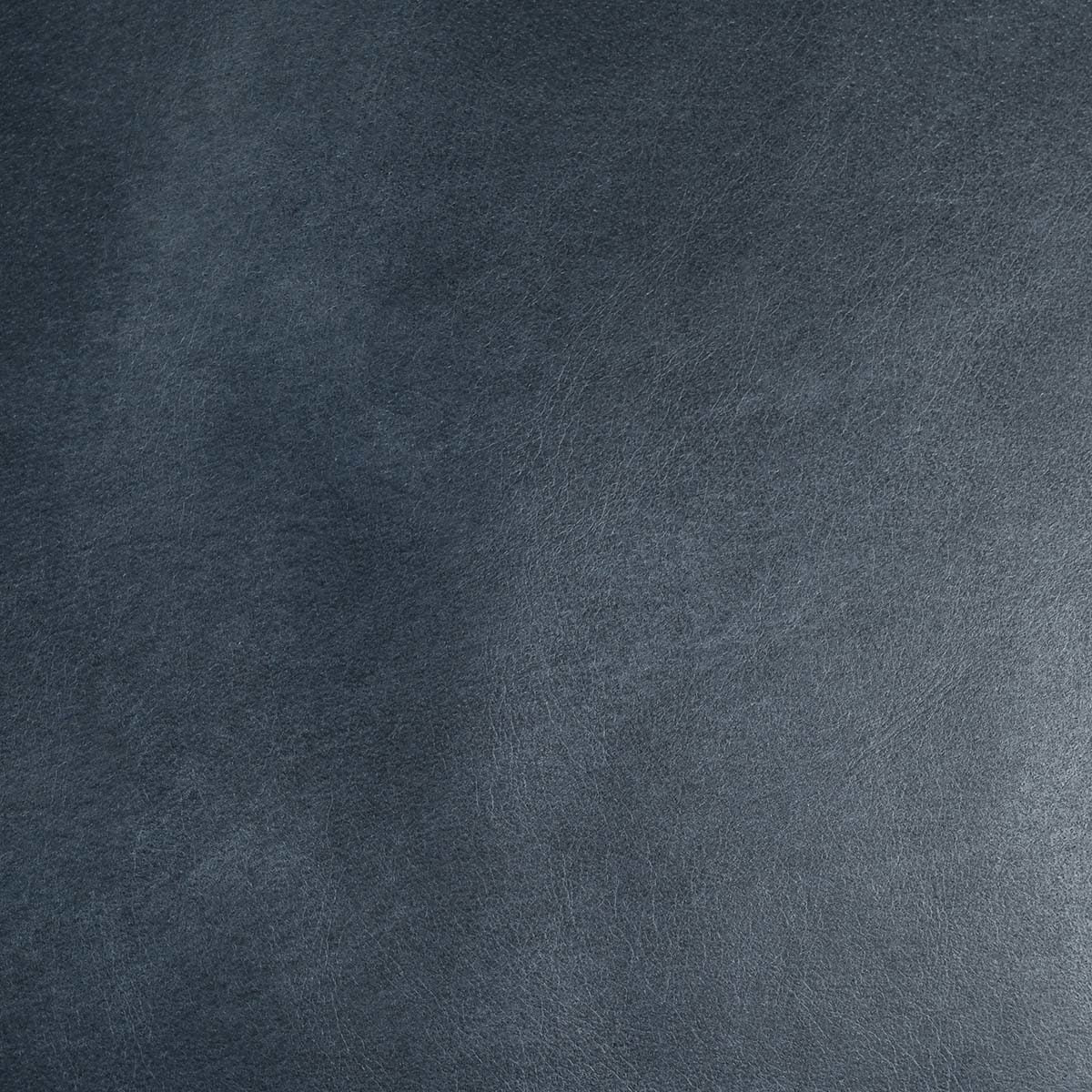 Ocean Blue Top Grain Leather Dining Chair Fonda Dining Chair Collection