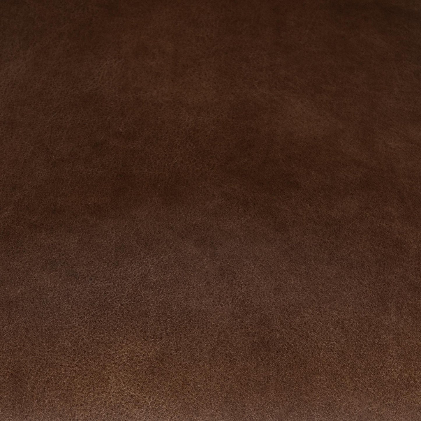 Bison Brown Top Grain Leather Dining Chair Archie Dining Chair Collection