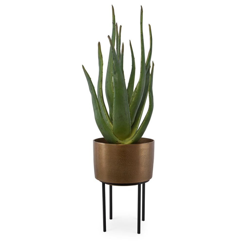 Modern Accessory