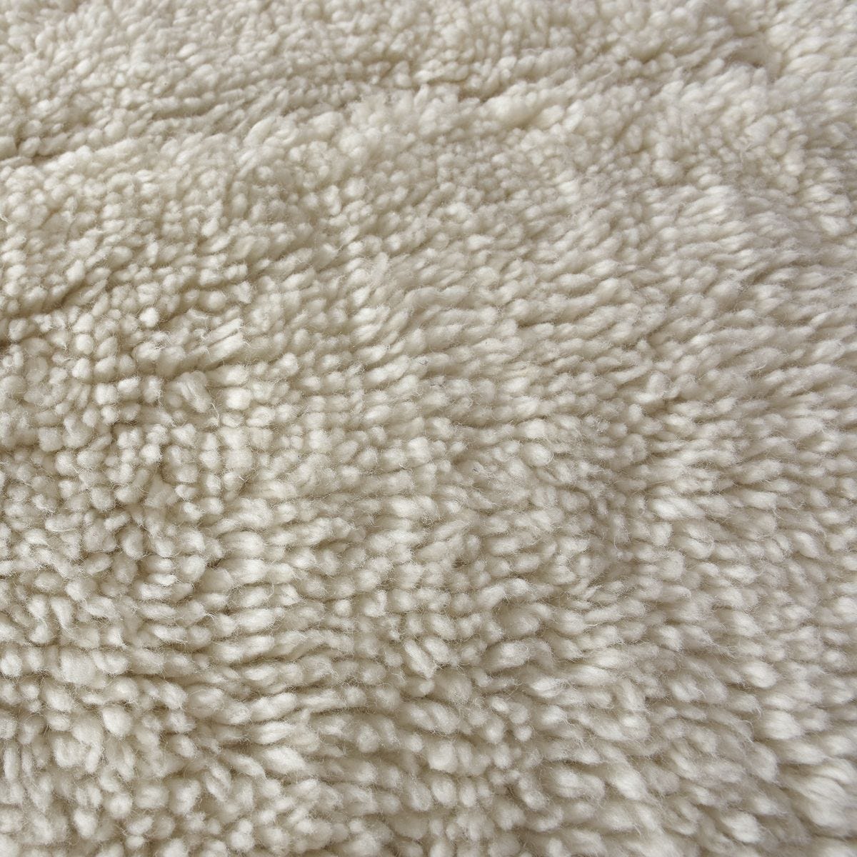 Crafted Area Rug