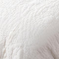 Winslow 2 Quilt Collection