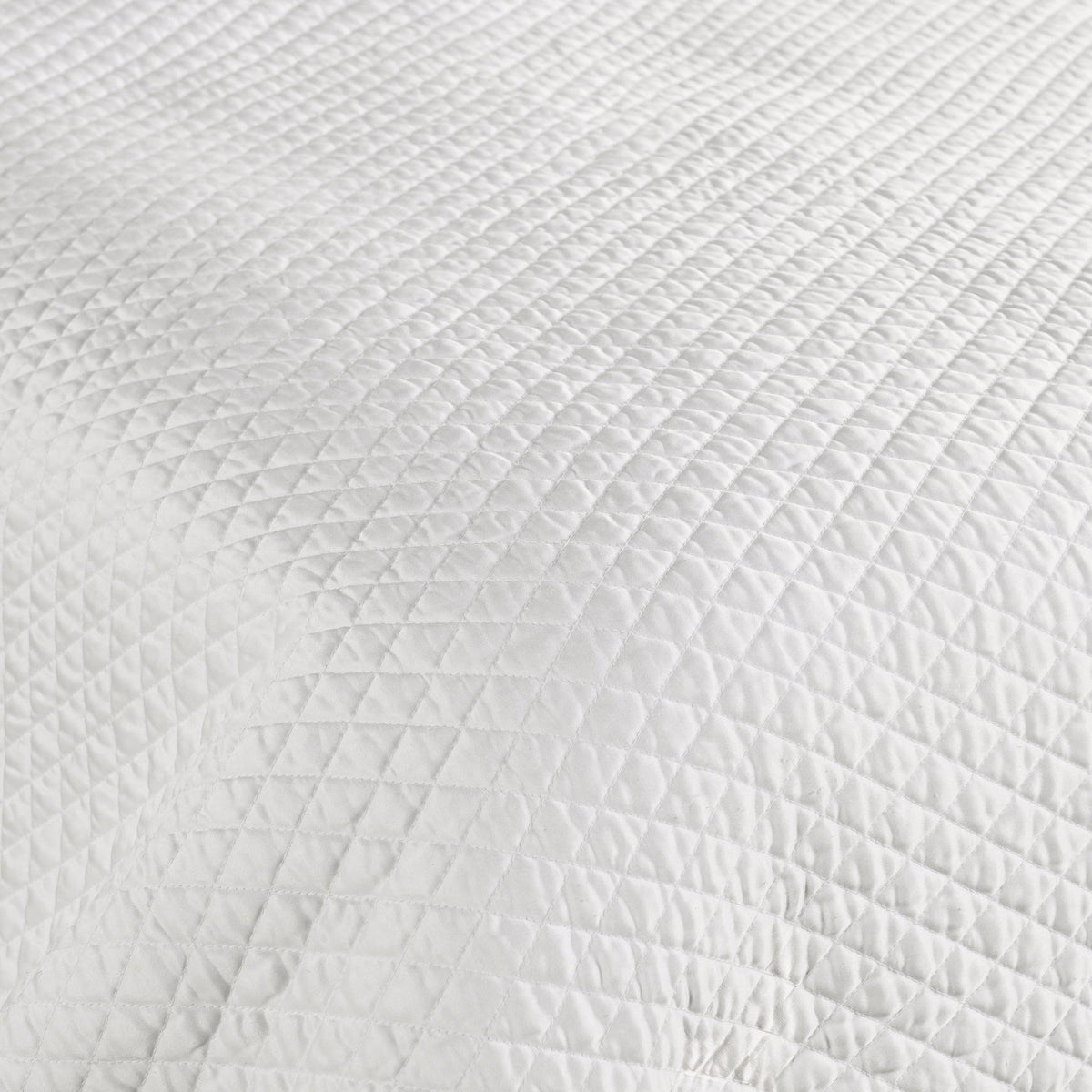 Ellery Quilt Collection