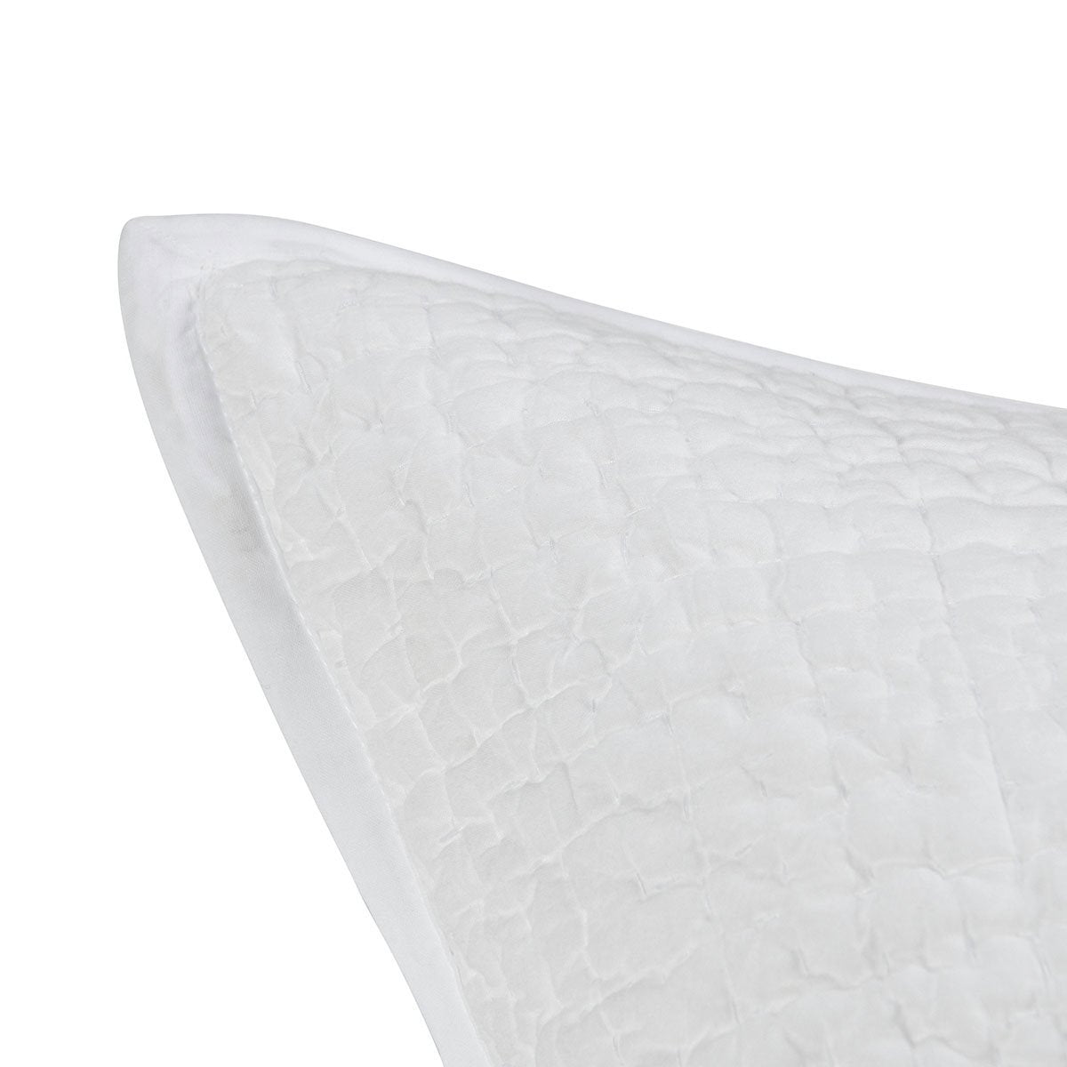 Evermont 3 Quilt Collection