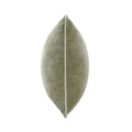Whitmore Pillow