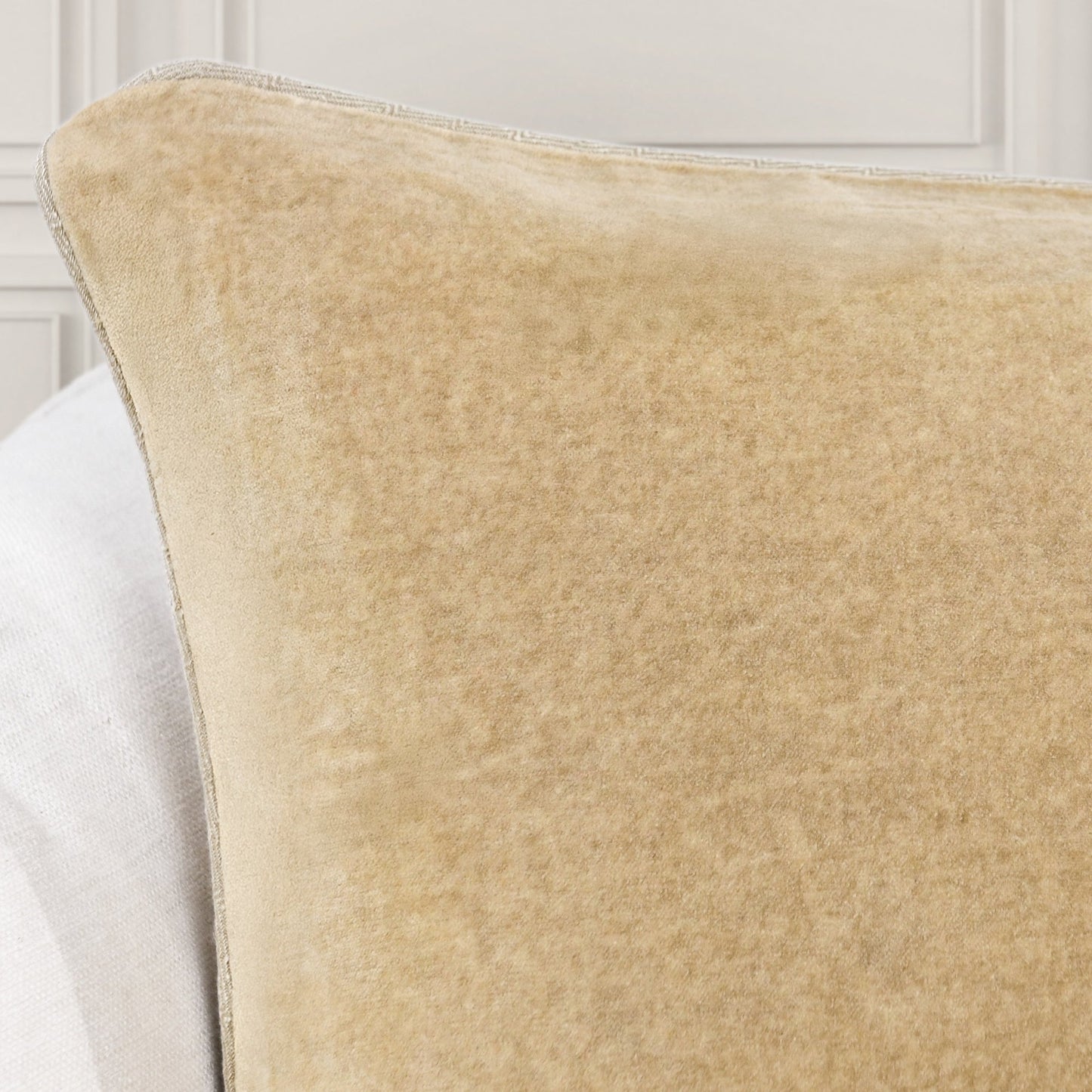 Wheat 100% Cotton Velvet Solid SLD Heirloom Velvet Multiple Sizes Collection