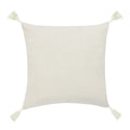 Modern Pillows & Throw