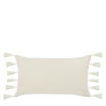 Modern Pillows & Throw