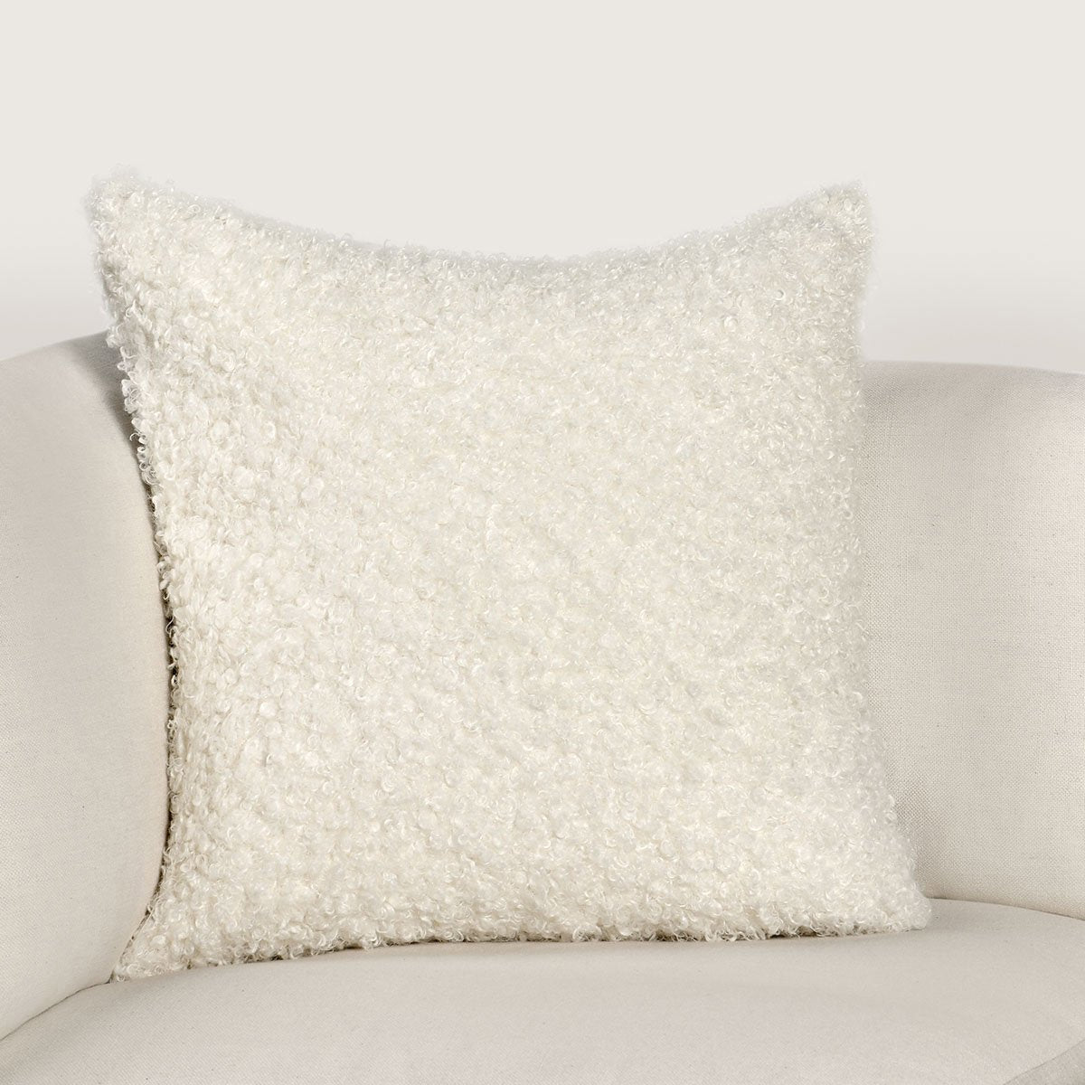 Refined Pillows & Throw