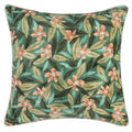 Signature Pillows & Throw