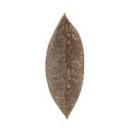 Juniper Vale 5 Pillow