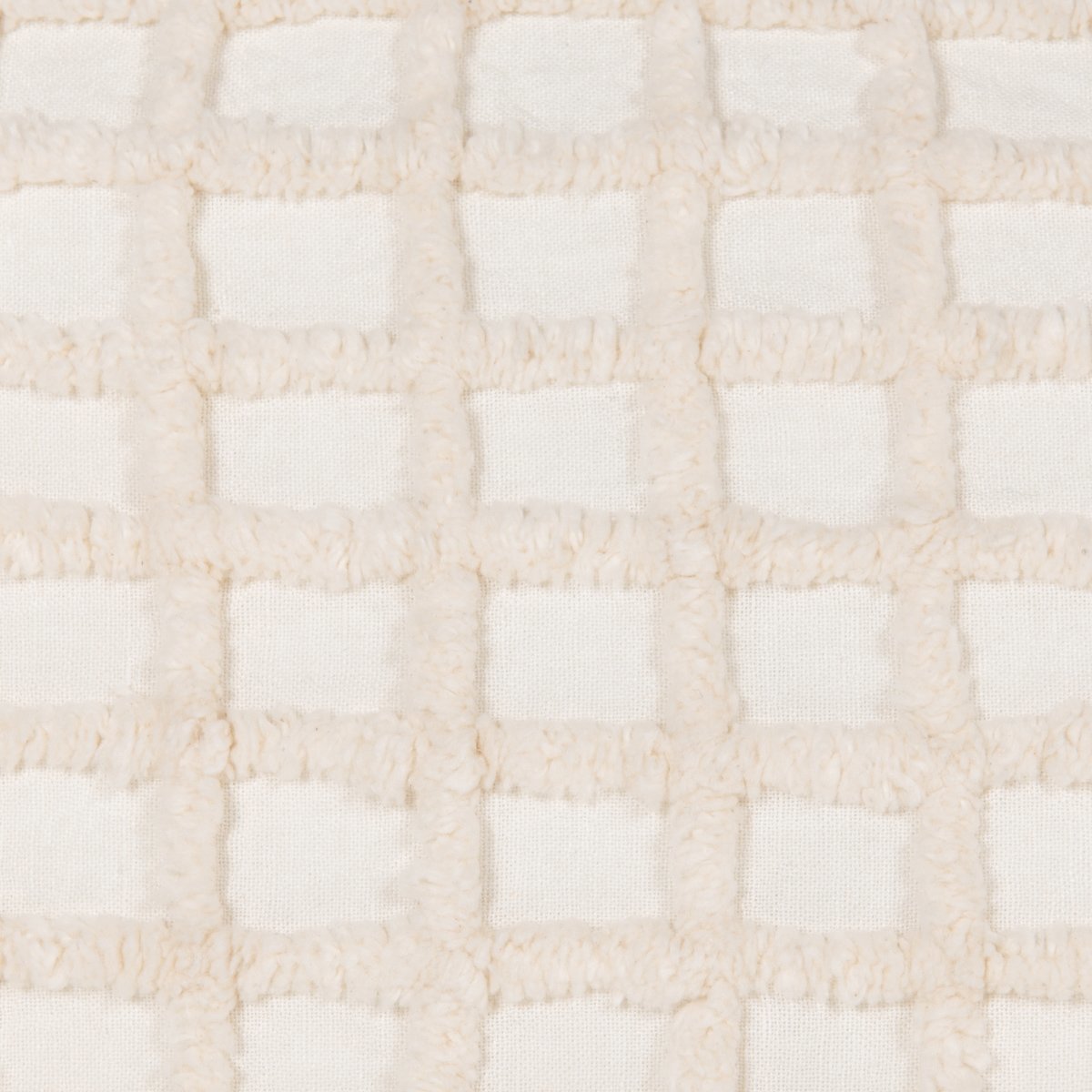 Ivory Solid EQ Ion Multiple Sizes Collection
