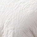 Winslow 2 Quilt Collection