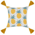 Refined Pillows & Throw