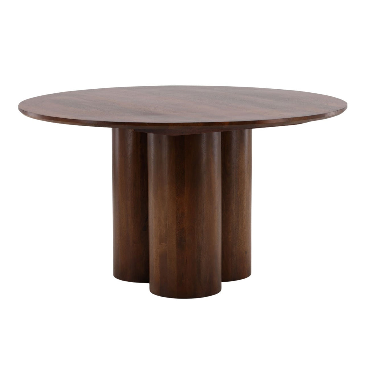 Elevated Mango Wood Dining Table