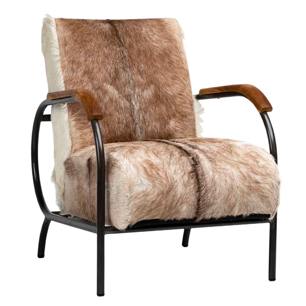 Natural Brown and White Finish with Black Frame Genuine Goat Hide with Steel Frame and Teak Wood Armrests Chair 23.5 in Wide