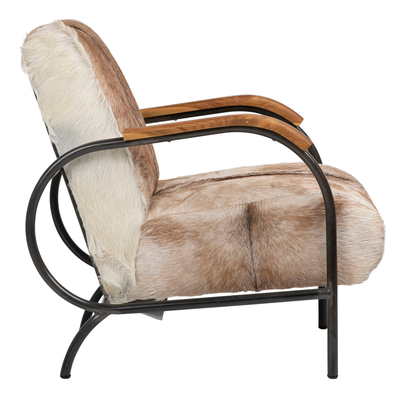 Natural Brown and White Finish with Black Frame Genuine Goat Hide with Steel Frame and Teak Wood Armrests Chair 23.5 in Wide
