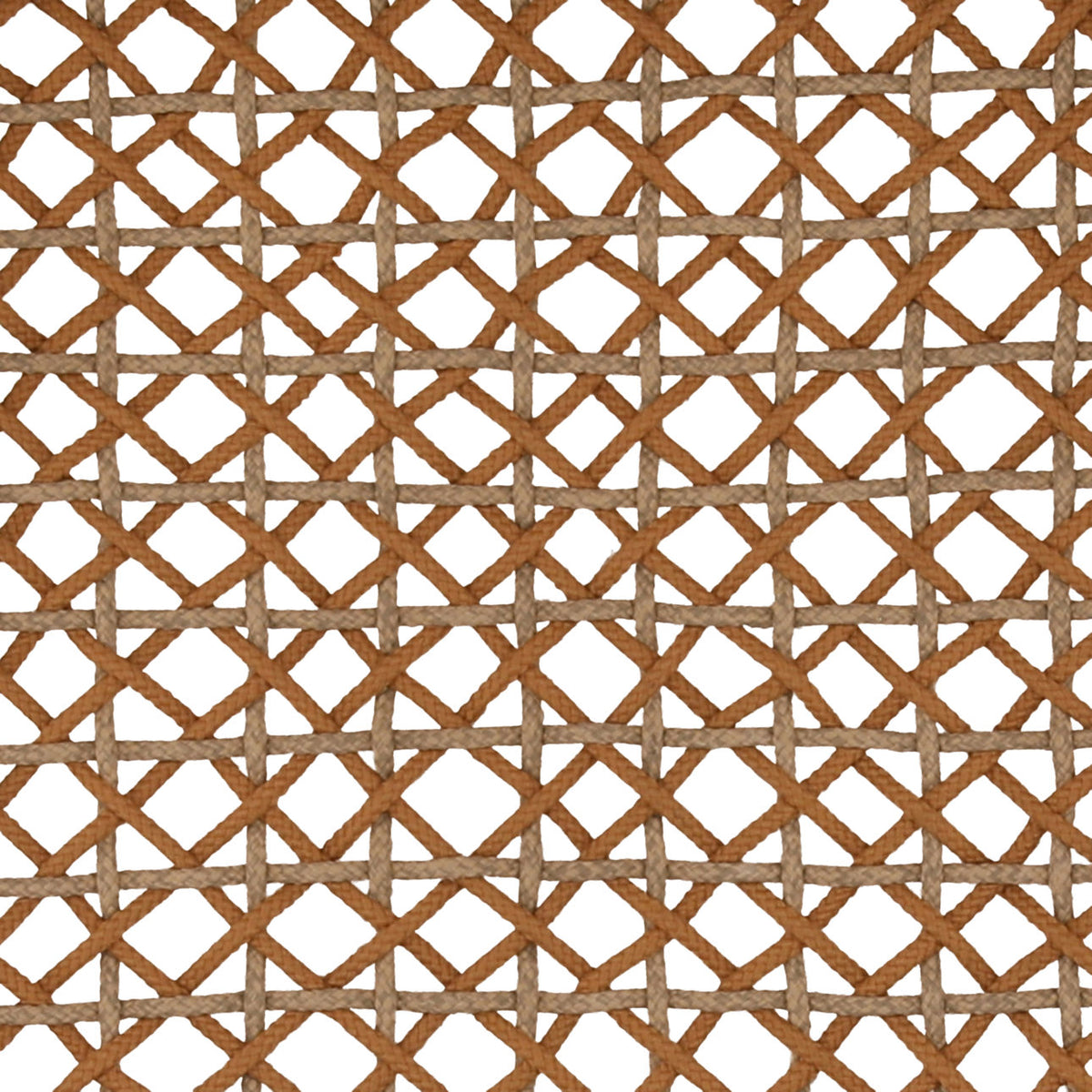 Modern Synthetic Rope, Aluminum and Teak Wood Dining Chair
