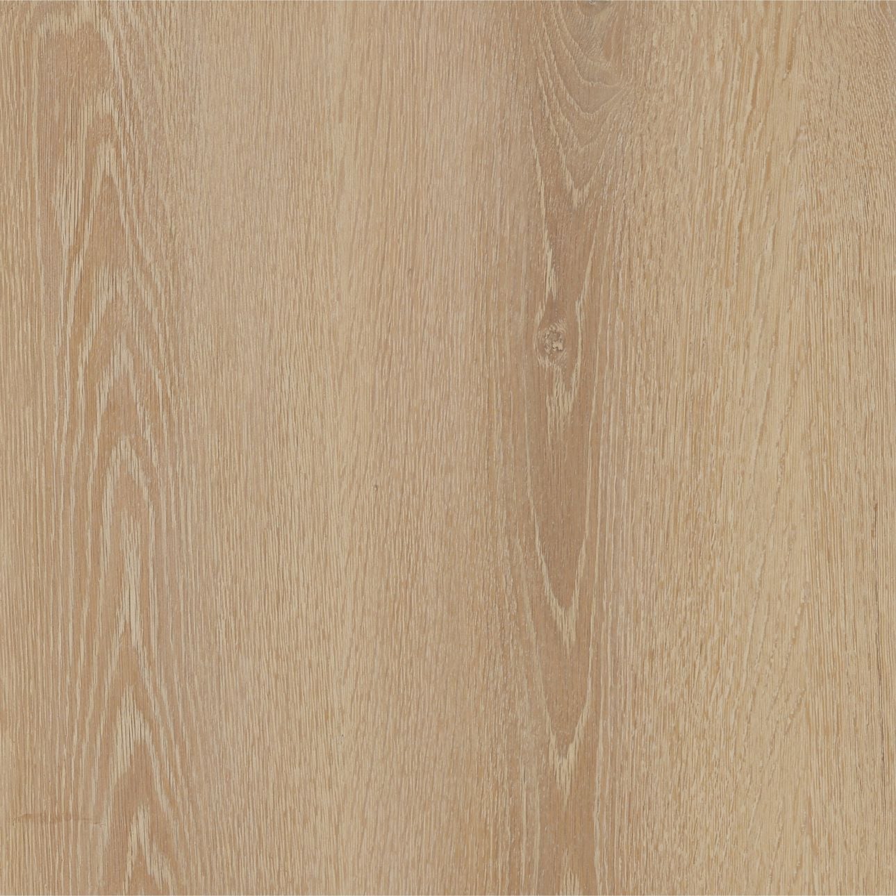 Light Natural Oak Veneer Desk 52 in Wide