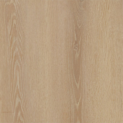 Light Natural Oak Veneer Desk 52 in Wide