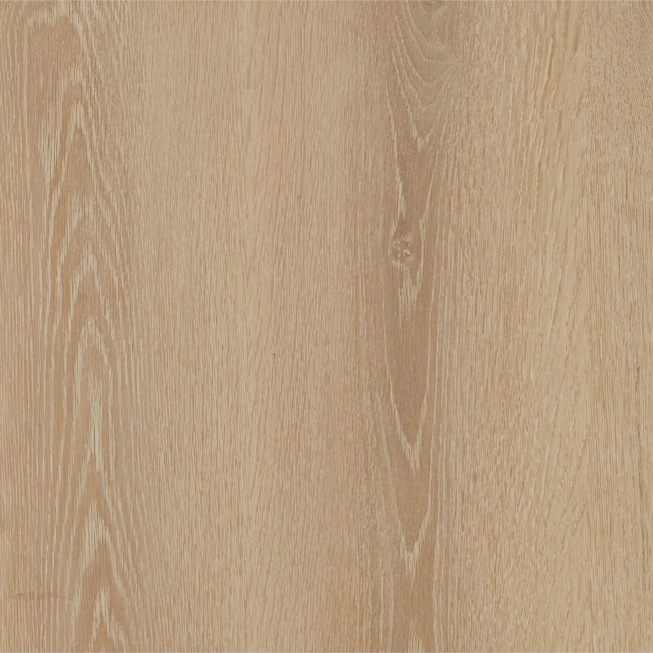 Light Natural Oak Veneer Desk 52 in Wide
