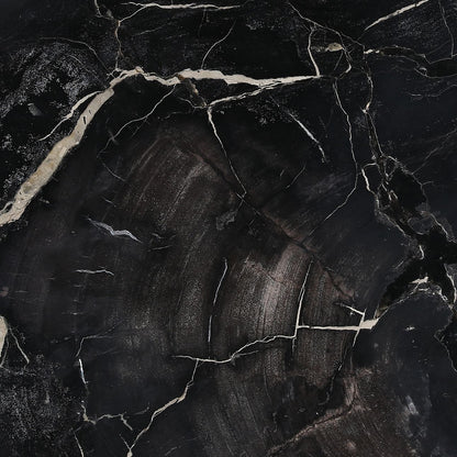 Natural and Black Petrified Wood and Metal Table 34 in Wide