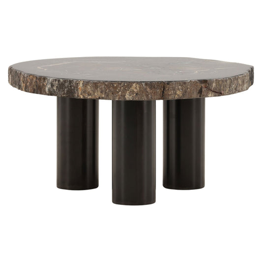 Curated Petrified Wood and Metal Coffee Table