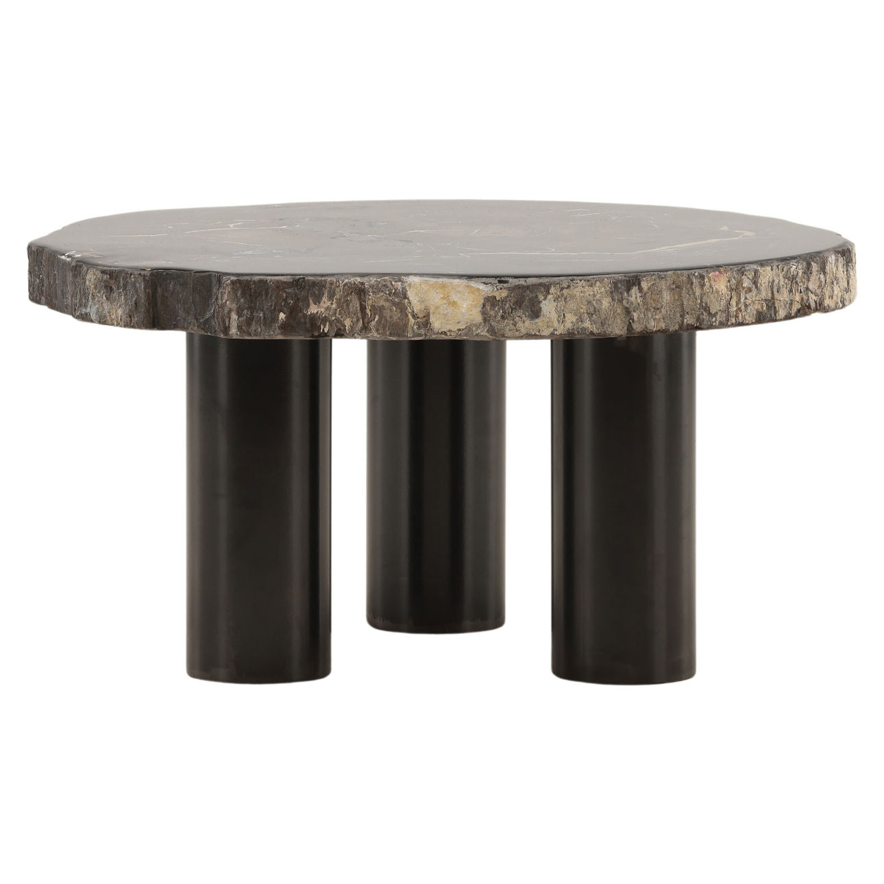 Natural and Black Petrified Wood and Metal Table 34 in Wide